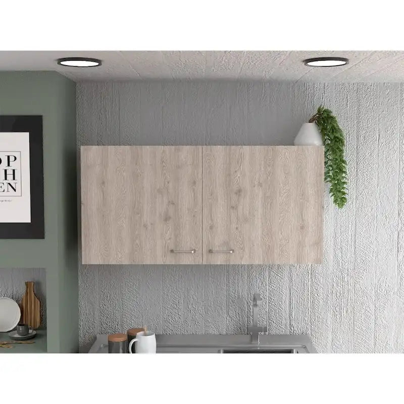Armario de pared, dos estantes, dos puertas
